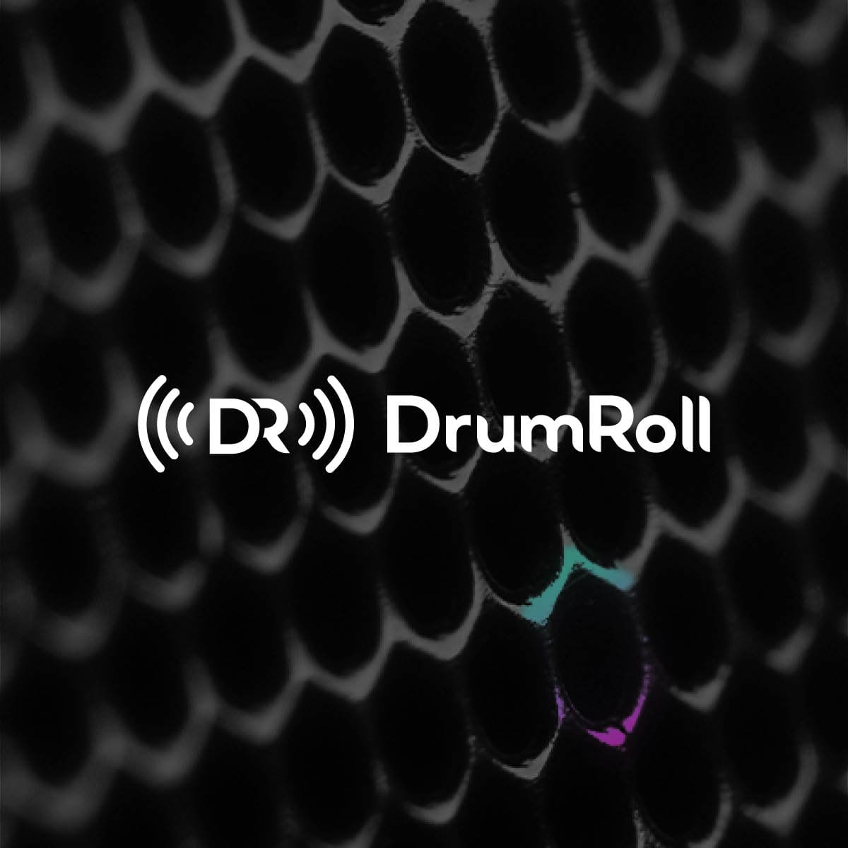 DrumRoll The DrumRoll Experience